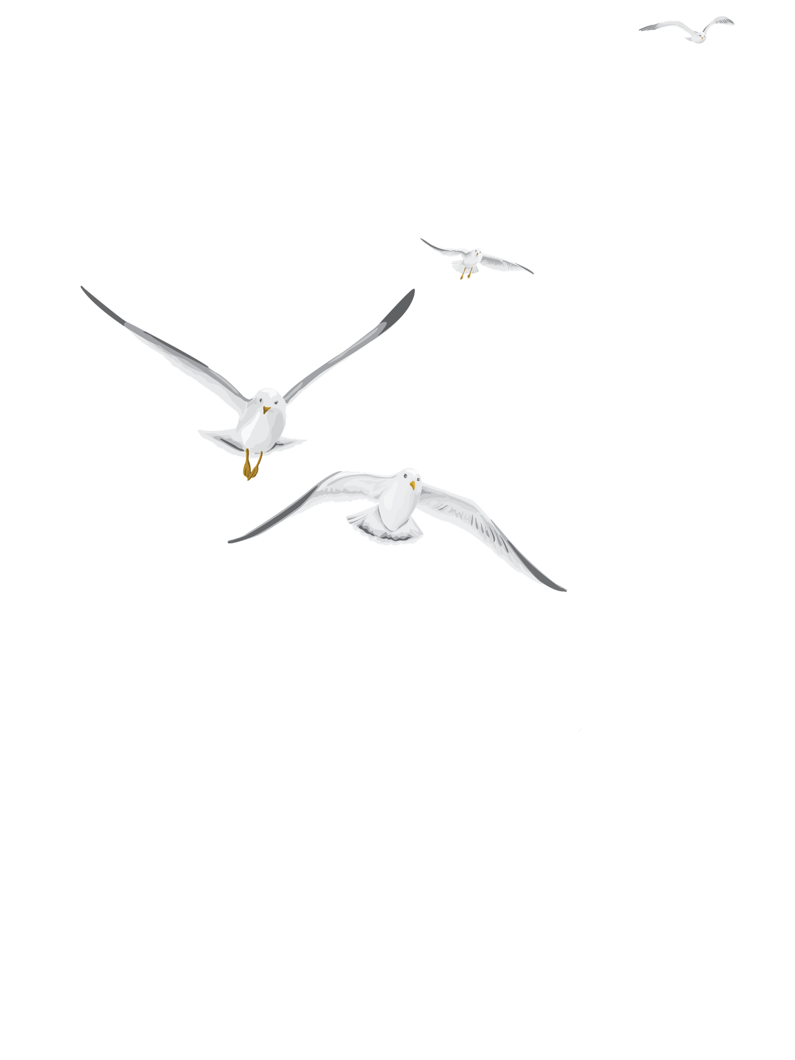 Passarinhos decorativos à esquerda